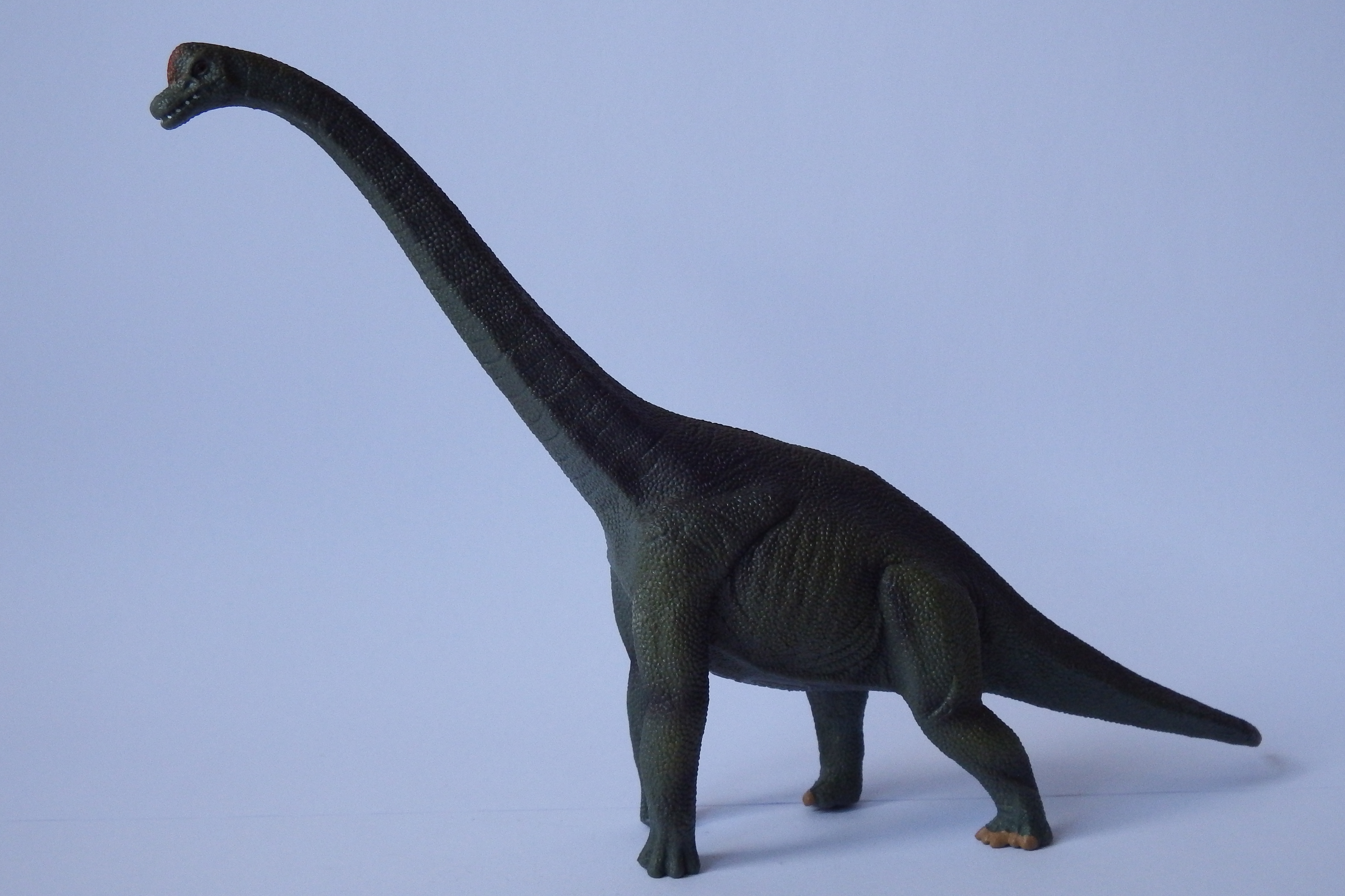 mini brachiosaurus