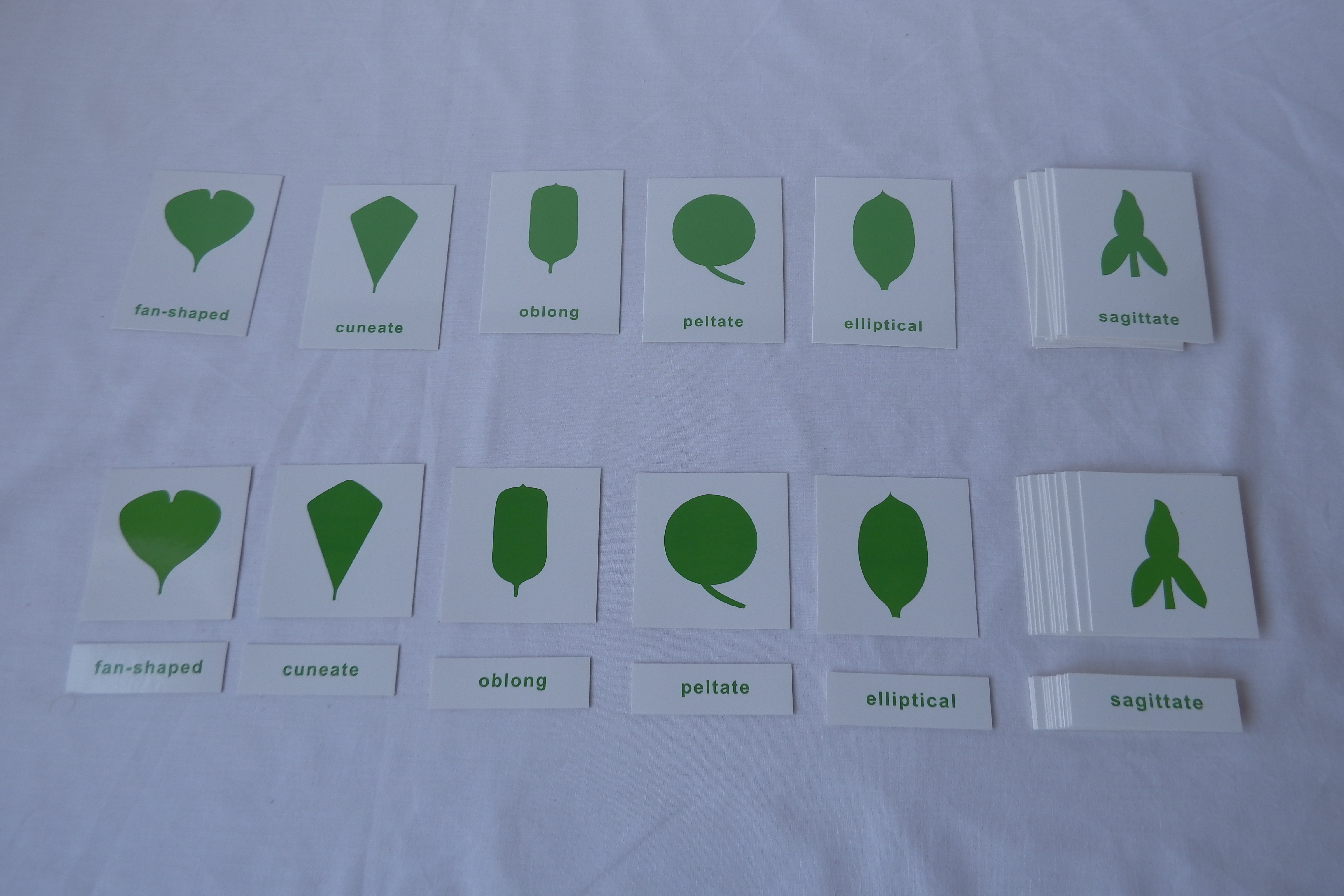 Montessori Botany Charts